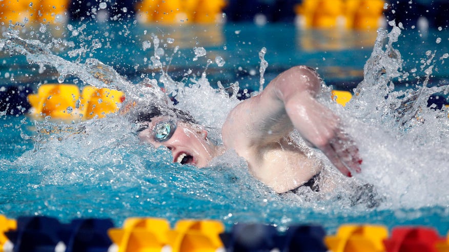 Missy The Missle Swim_Pata.jpg